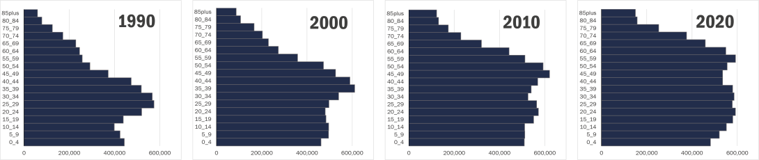 Age pyramids 1990 - 2020