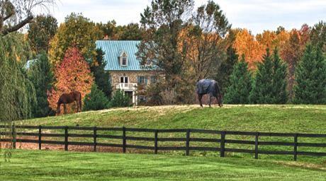 Loudoun, VA farm