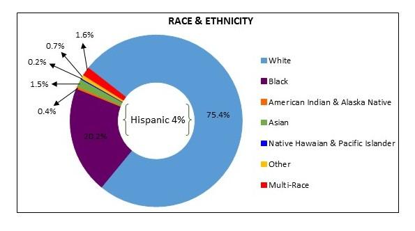 Race and Ethnicity of Veterans