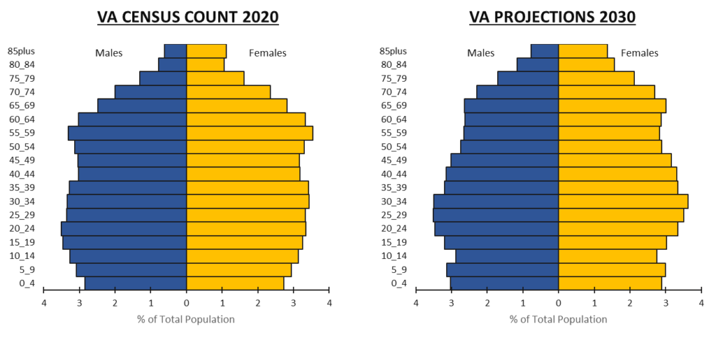 Pop-Pyramids-2020-2030-1024x487.png