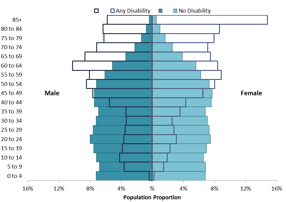 disability-age-pyramid.png